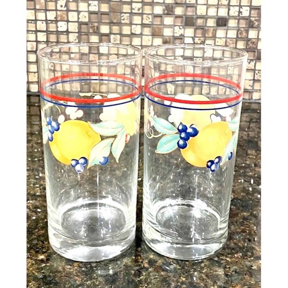 Corelle Abundance Fruit 14 oz Glasses Tumbler Cooler Set of 2